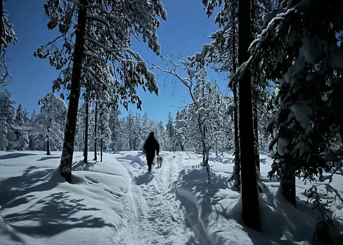 Appartement Ahkiomaantie *